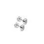 Silver Earrings with zircon IE0476W Swan
