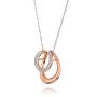 Colier din argint placat cu aur cu pandantiv de potcoava cu zirconii  PJ313N Swan