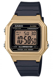 Men's watch Casio W-217HM-9AVEF