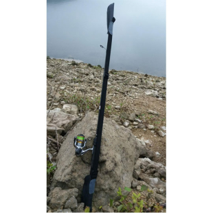 Cap and protector with two RR11 fishing line cases