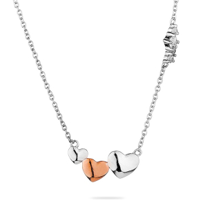 Silver necklace with hearts pendant JT880N Swan